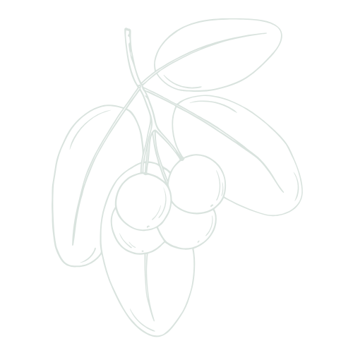 Tamanu oil ingredient